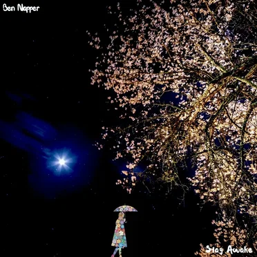 Stay Awake (Piano) by Ben Napper - album cover