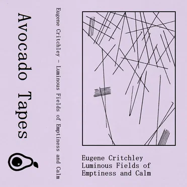 Luminous Fields of Emptiness and Calm