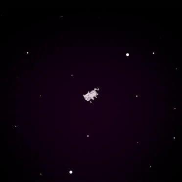 Sad Space Kitty (AlexAnder remix)