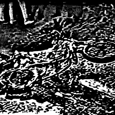 cheap (sweat from your skin)