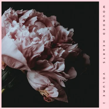 Wounded Hearts Vol. 2 by Various Artists - album cover