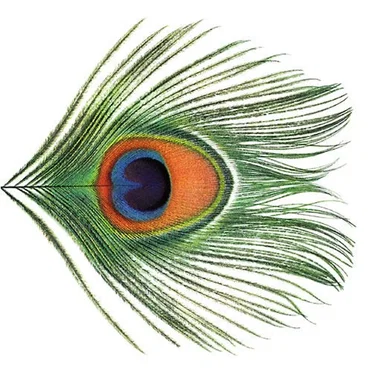 Apple Venus, Volume 1