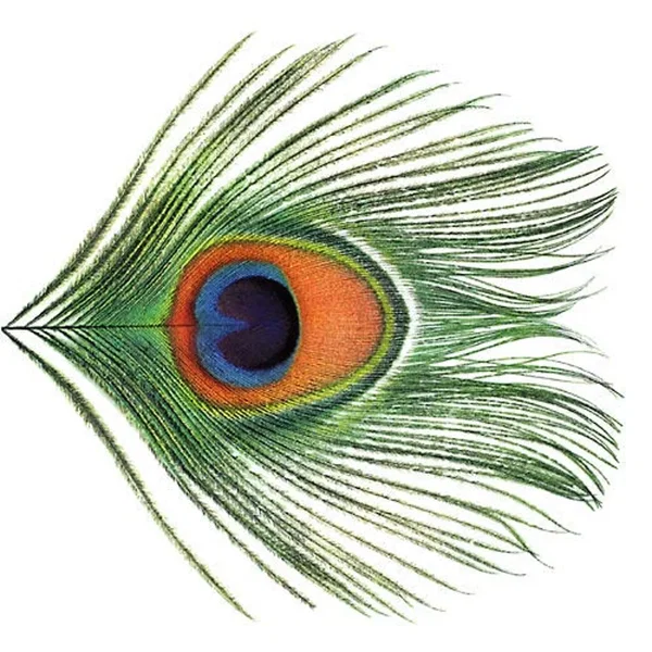 Apple Venus, Volume 1