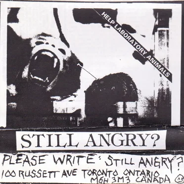 Still Angry? by Various Artists - album cover