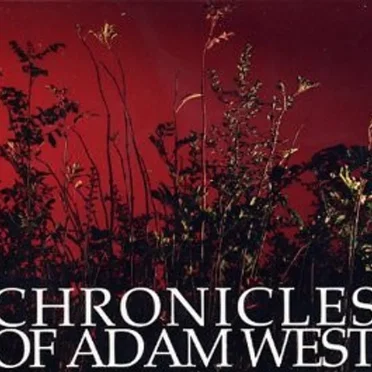 We Walk Unbalanced by Chronicles of Adam West - album cover