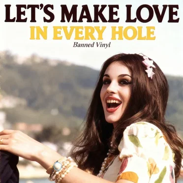 Let's Make Love in Every Hole