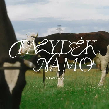 Palydėk namo