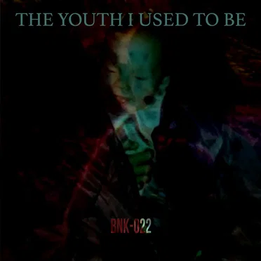 The Youth I Used to Be by Entro Senestre - album cover