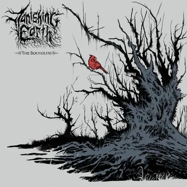 The Boundless by Vanishing Earth - album cover