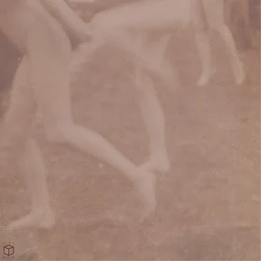 Cracks by Hangin Freud - album cover