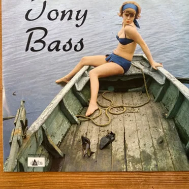 Successen van Tony Bass
