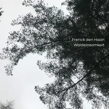 Waldeinsamkeit by Frerick den Haan - album cover