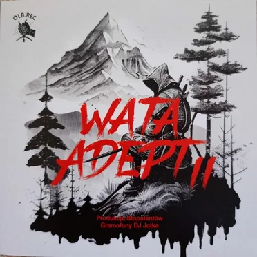 Adept 2
