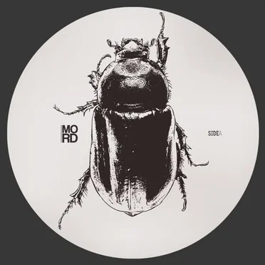 Anomalies EP