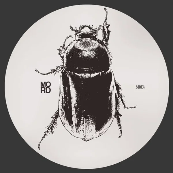 Anomalies EP