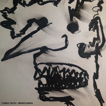 Mindfulmess by Cobra Truth - album cover