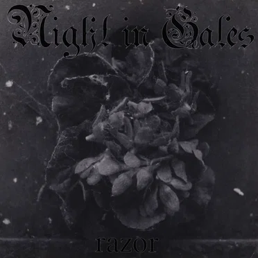 Razor by Night in Gales - album cover