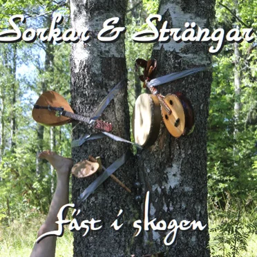 Fäst i skogen