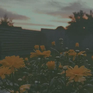 Helplessly Hoping by Little To Nothing - album cover