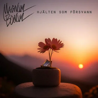 Hjälten som försvann