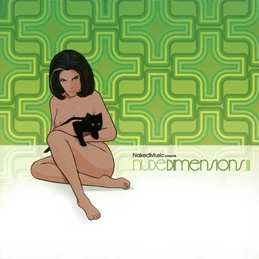 Nude Dimensions, Volume 3 (Mixed by Bruno Ybarra) by Various Artists - album cover
