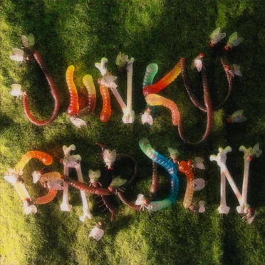 JUNKY GARDEN