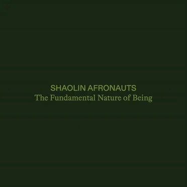 The Fundamental Nature of Being
