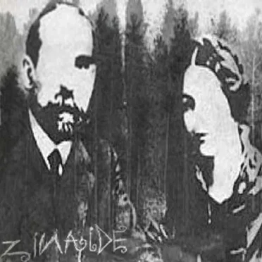 ZiNAiDE
