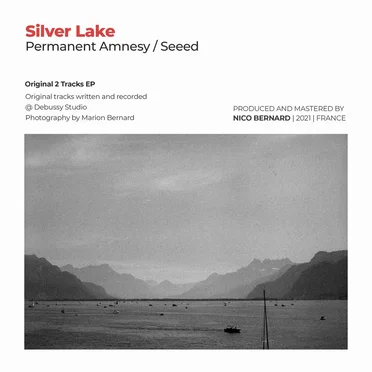 Permanent Amnesy / Seeed by Silver Lake - album cover
