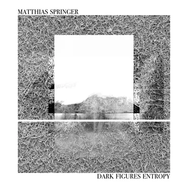 Dark Figures Entropy by Matthias Springer - album cover