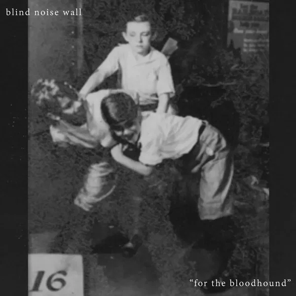 for the bloodhound