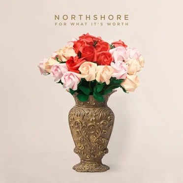 For What It's Worth by Northshore - album cover