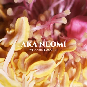 Wedding Bouquet by AKA Neomi - album cover