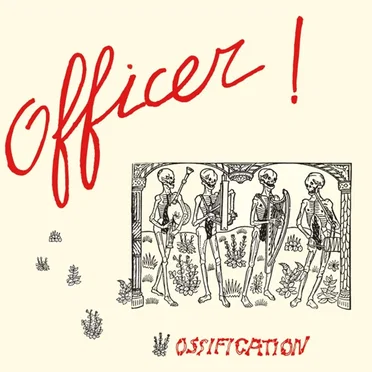 Ossification
