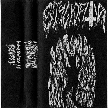 Barren Crops of Heavenly Deception by Stygiofilia - album cover