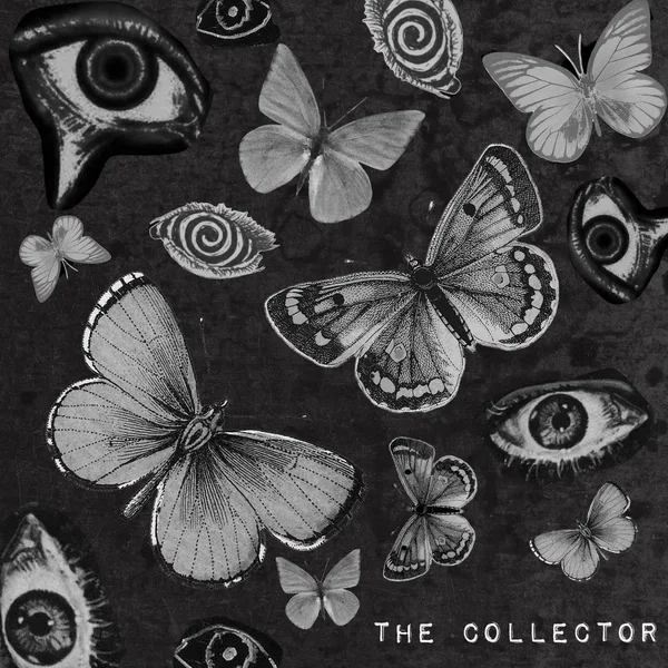 The Collector