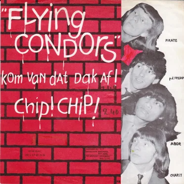 Kom van dat dak af! / Chip chip