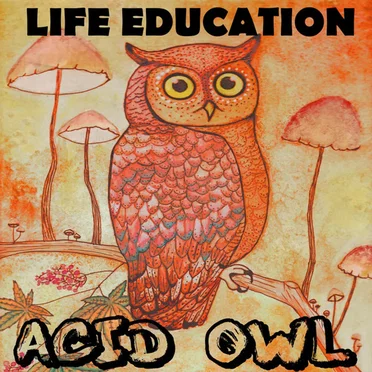 Acid Owl by Life Education - album cover