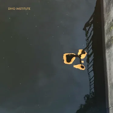 Divo Institute