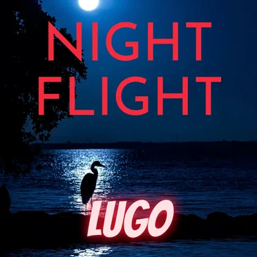 Night Flight