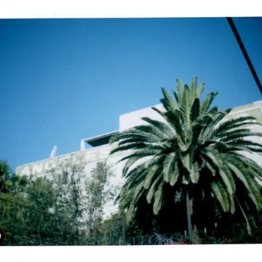 The Neighborhood by The Neighborhood - album cover