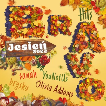 Bravo Hits Jesień 2022 by Various Artists - album cover