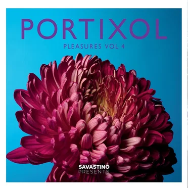 Portixol Pleasures, Vol 4 by Various Artists - album cover
