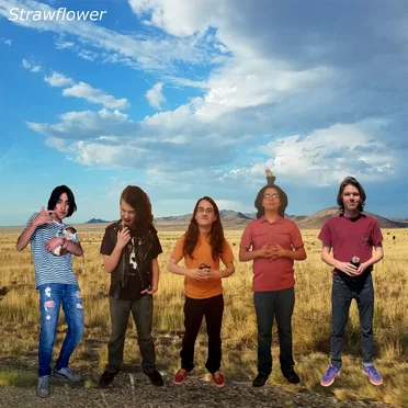 Strawflower by Strawflower - album cover