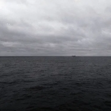Shrouded in Grey