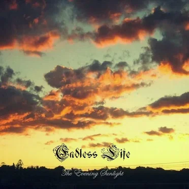 The Evening Sunlight by Endless Life - album cover