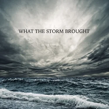 What the Storm Brought