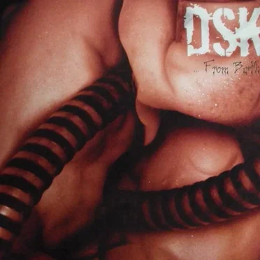 ... From Birth by DSK - album cover