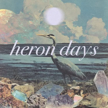 heron days