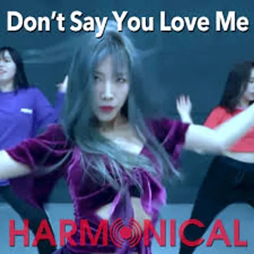Don't Say You Love Me
